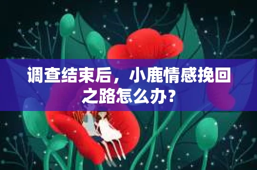 调查结束后，小鹿情感挽回之路怎么办？