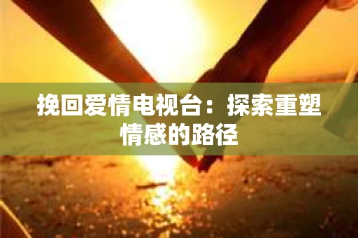 挽回爱情电视台：探索重塑情感的路径