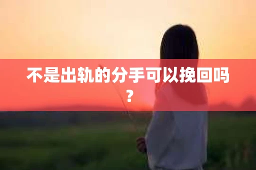 不是出轨的分手可以挽回吗? 不是出轨的分手可以挽回吗?