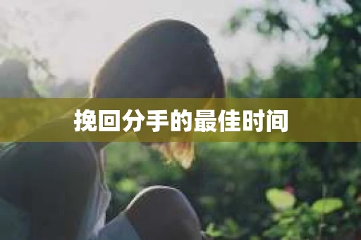 挽回分手的最佳时间