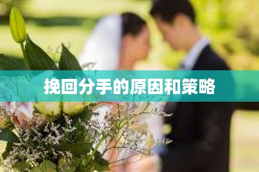 挽回分手的原因和策略