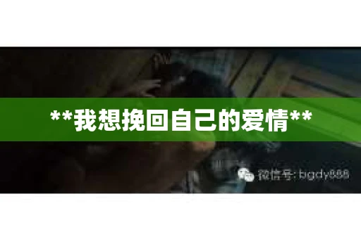 **我想挽回自己的爱情**