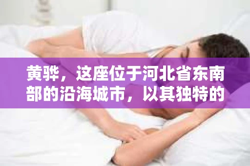 黄骅，这座位于河北省东南部的沿海城市，以其独特的地理位置和丰富的历史文化而闻名。然而，在这座城市中，还有一群人，他们以另一种方式默默守护着社会的公平与正义——私家侦探。今天，我们就来聊聊黄骅的私家侦探，看看他们是如何在这个城市中发挥作用的。