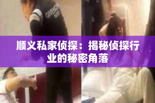 顺义私家侦探：揭秘侦探行业的秘密角落