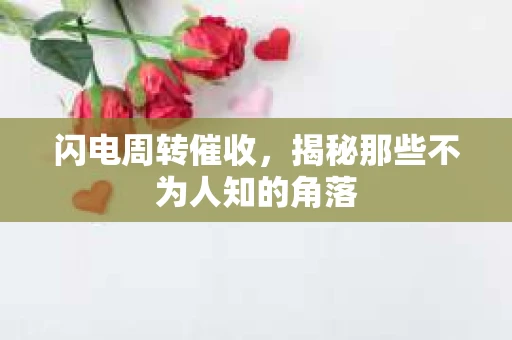 闪电周转催收，揭秘那些不为人知的角落