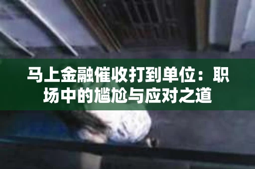 马上金融催收打到单位：职场中的尴尬与应对之道