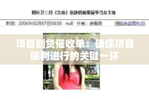 项目到货催收单：确保项目顺利进行的关键一环