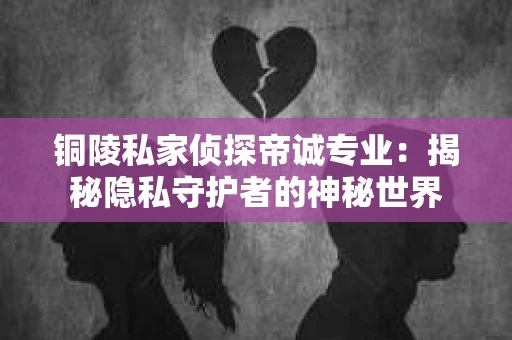 铜陵私家侦探帝诚专业：揭秘隐私守护者的神秘世界
