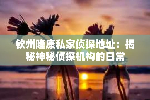 钦州隆康私家侦探地址：揭秘神秘侦探机构的日常