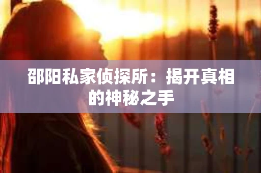 邵阳私家侦探所：揭开真相的神秘之手