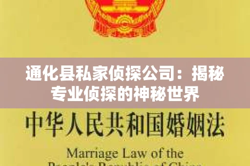 通化县私家侦探公司：揭秘专业侦探的神秘世界