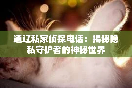 通辽私家侦探电话：揭秘隐私守护者的神秘世界