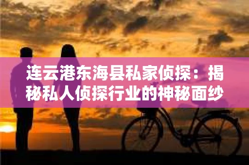 连云港东海县私家侦探：揭秘私人侦探行业的神秘面纱