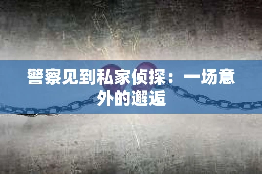 警察见到私家侦探：一场意外的邂逅