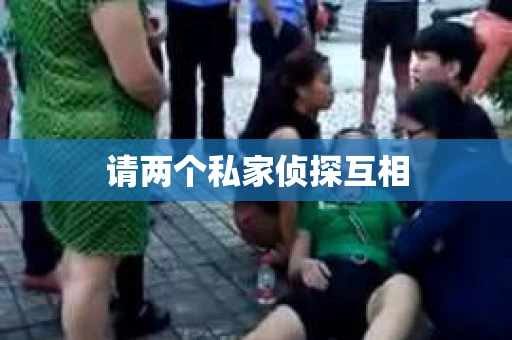 请两个私家侦探互相