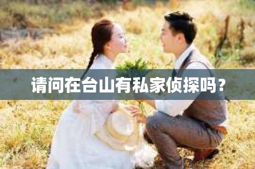 请问在台山有私家侦探吗？