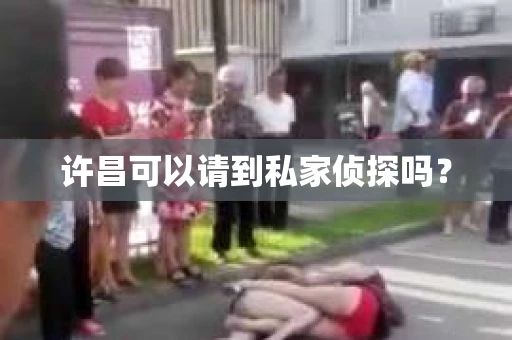 许昌可以请到私家侦探吗？
