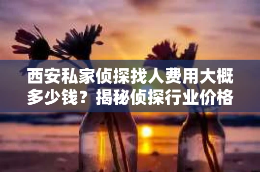 西安私家侦探找人费用大概多少钱？揭秘侦探行业价格之谜