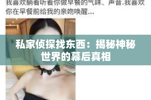 私家侦探找东西：揭秘神秘世界的幕后真相