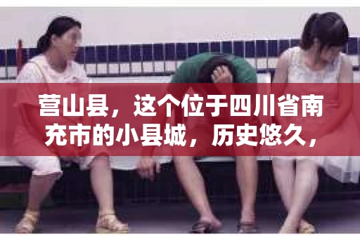 营山县，这个位于四川省南充市的小县城，历史悠久，风景秀丽。但在这个宁静的小县城里，你是否会好奇，有没有私家侦探的存在呢？今天，我就来和大家聊聊这个话题。