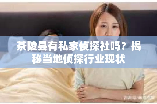 茶陵县有私家侦探社吗？揭秘当地侦探行业现状