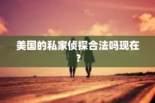 美国的私家侦探合法吗现在？
