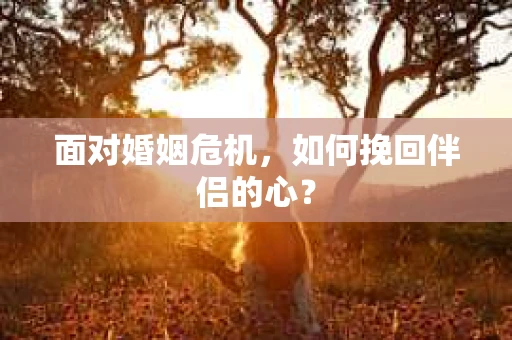 面对婚姻危机，如何挽回伴侣的心？