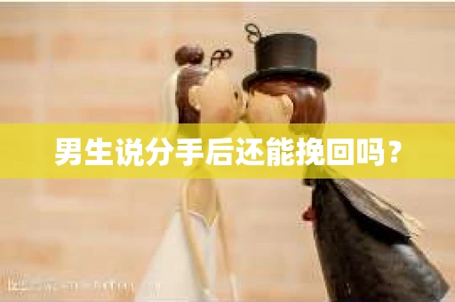 男生说分手后还能挽回吗? 男生说分手后还能挽回吗?