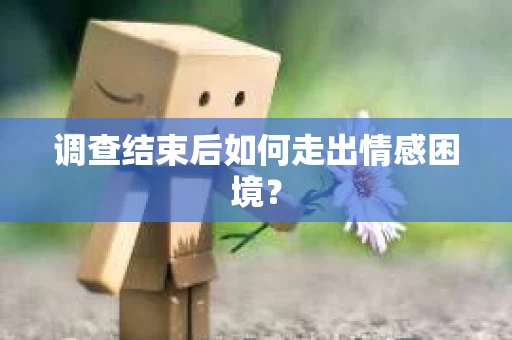 调查结束后如何走出情感困境？