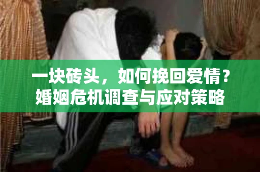 一块砖头，如何挽回爱情？婚姻危机调查与应对策略
