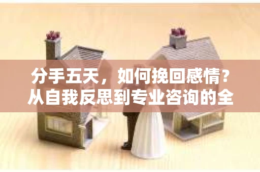 分手五天，如何挽回感情？从自我反思到专业咨询的全面解决方案
