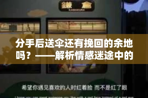 分手后送伞还有挽回的余地吗？——解析情感迷途中的决策
