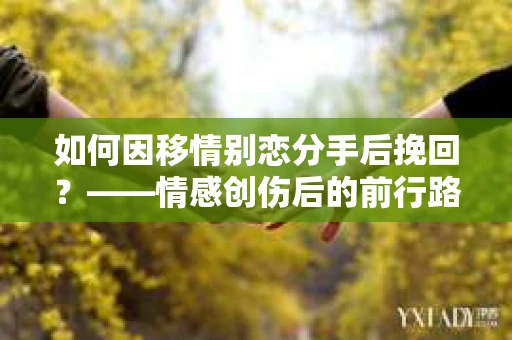 如何因移情别恋分手后挽回？——情感创伤后的前行路线图