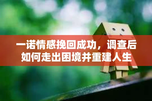 一诺情感挽回成功，调查后如何走出困境并重建人生